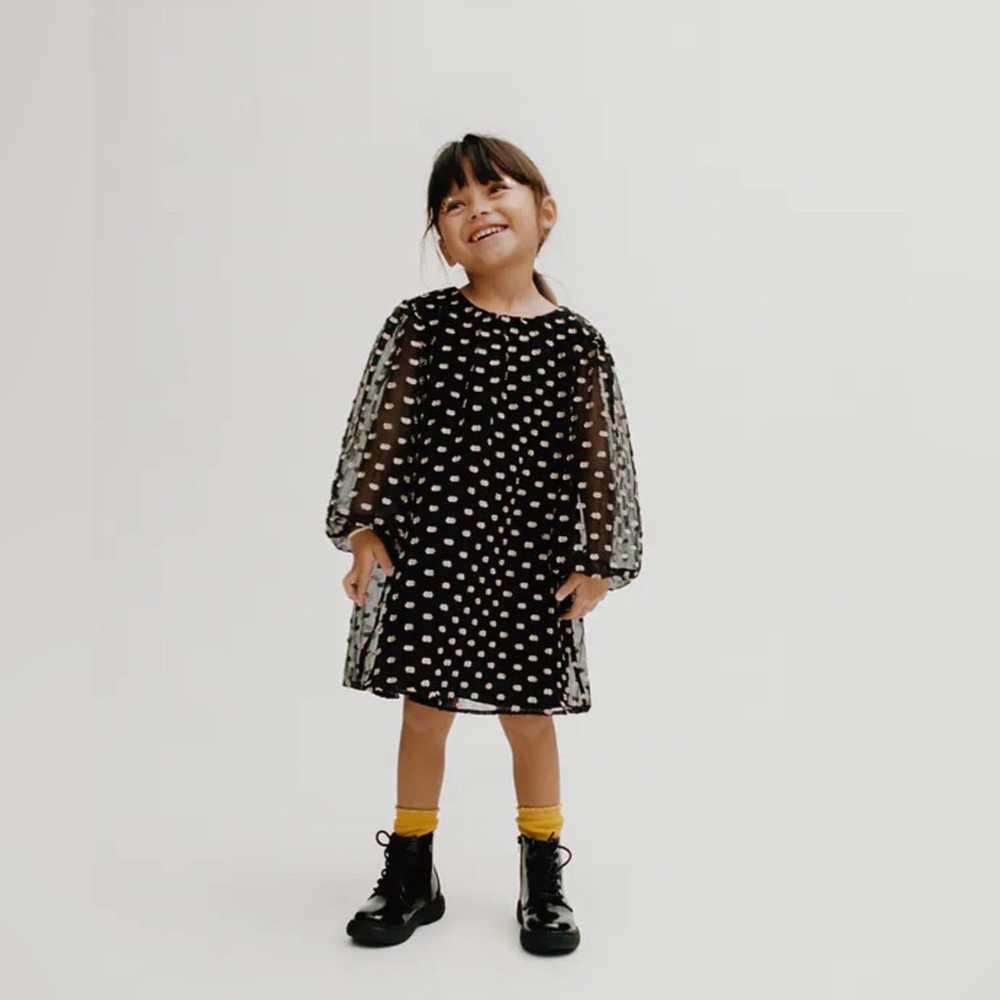 ZARA Contrast Dotted Mesh Dress
